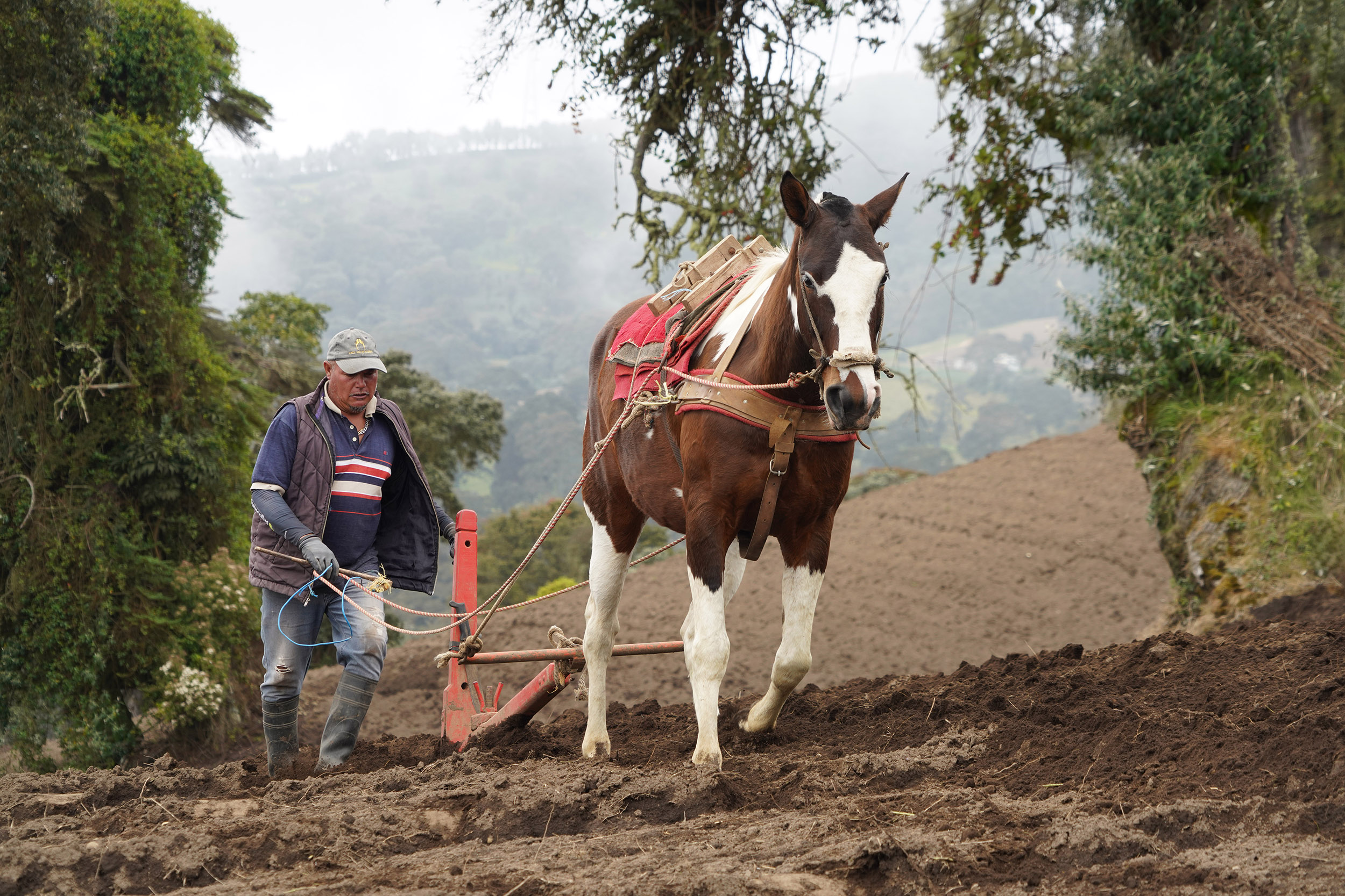 Costa Rica - Février 2025